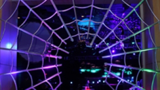 Custom Aluminum Spider Web